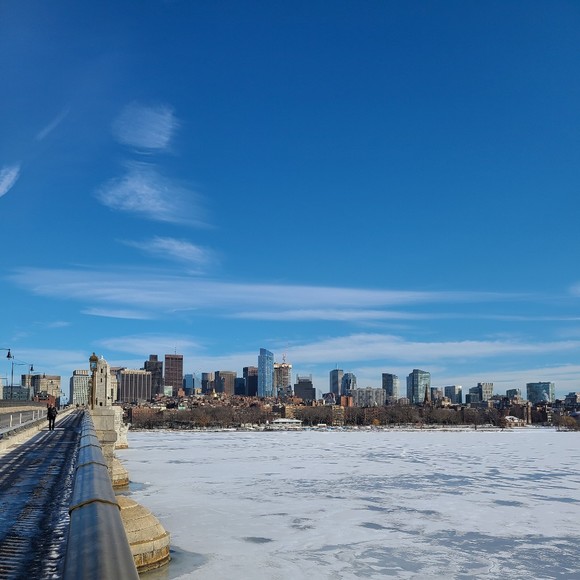 Meet your Posher, Elena - Picture 1 of 1